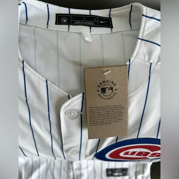 Nike Authentic Pinstripe Chicago Cubs Kyle Tucker #30 MLB Jersey Men’s Sz: L - Picture 5 of 8